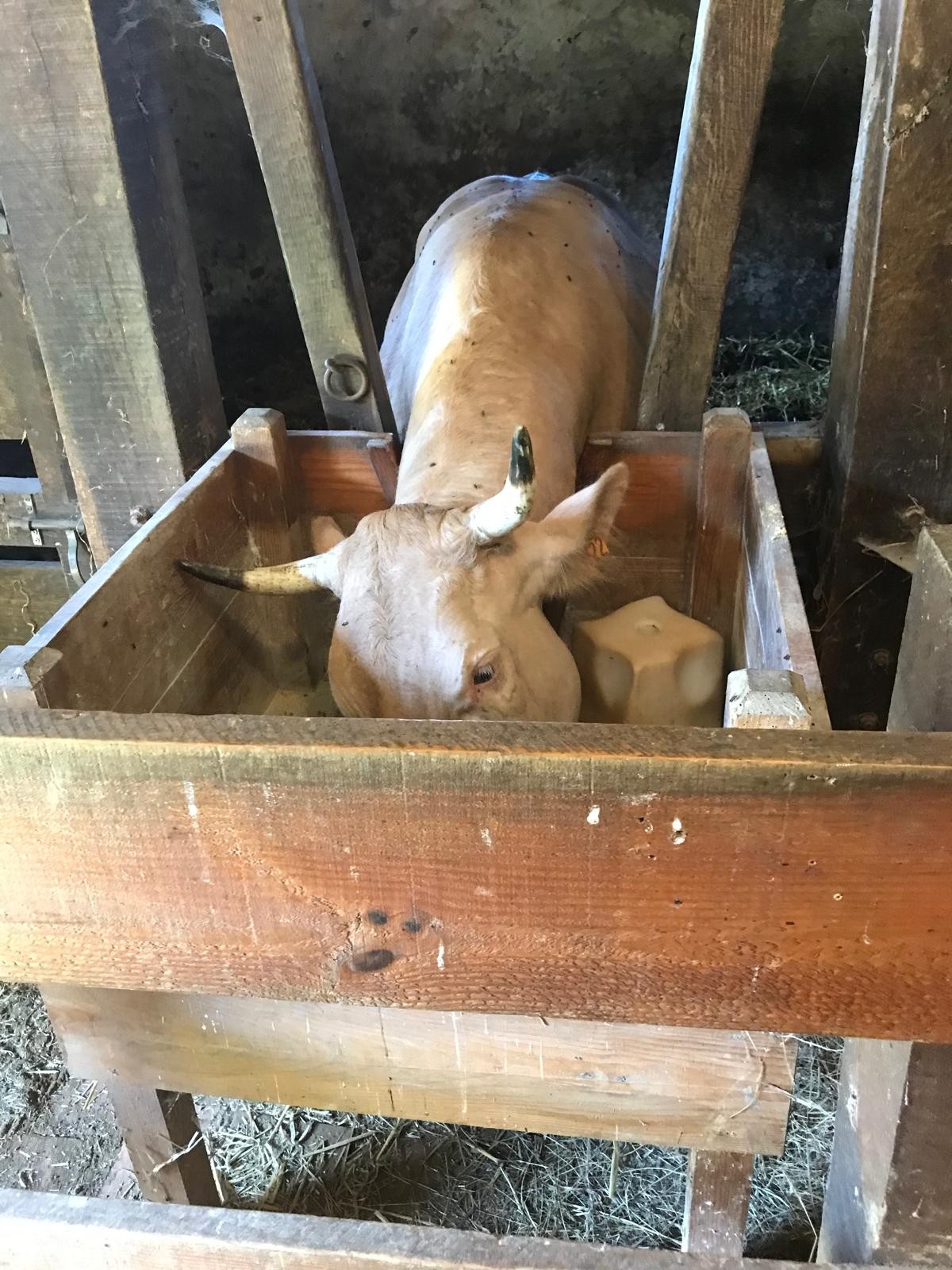 Musee de la Challosse