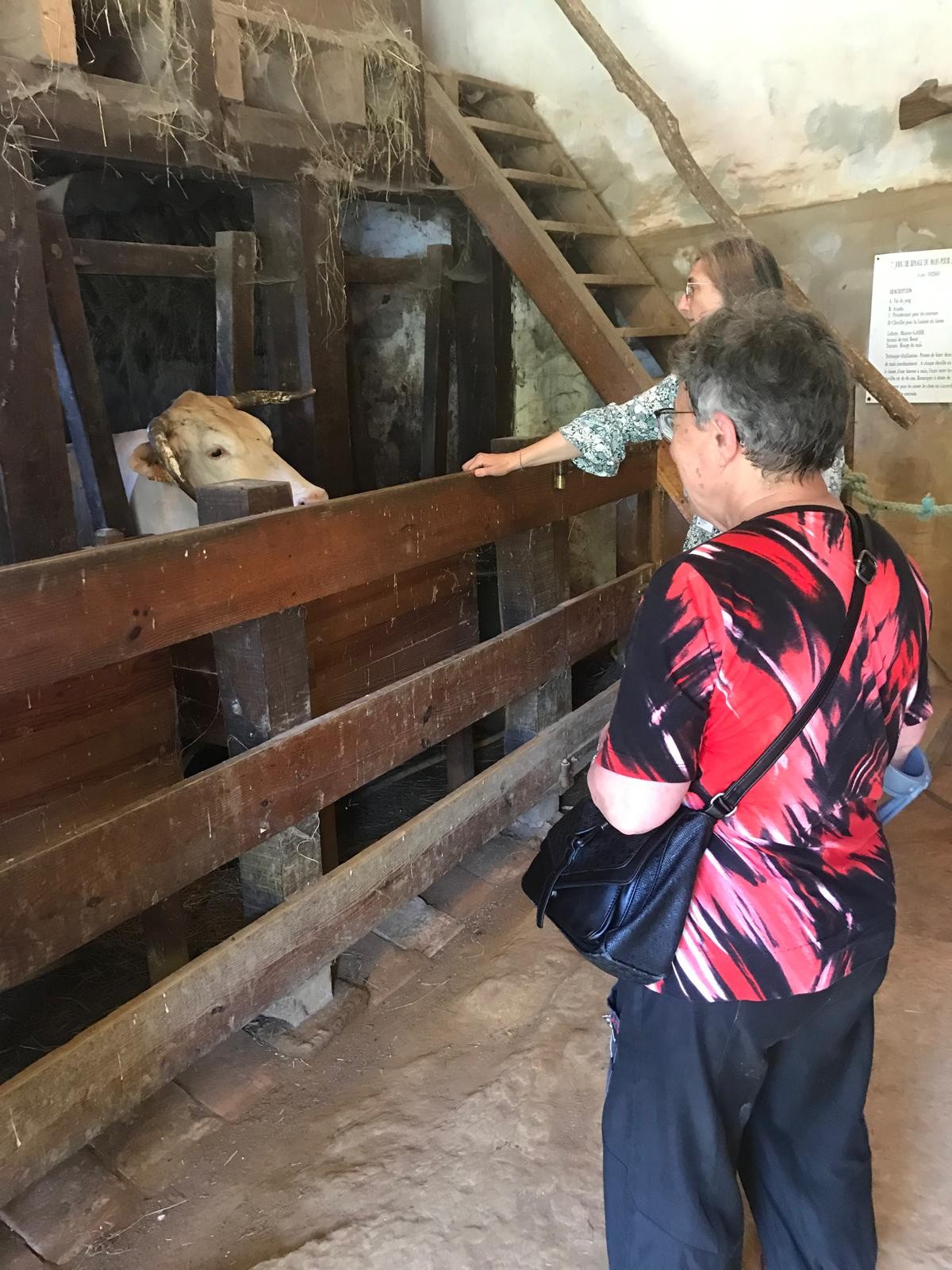 Musee de la Challosse